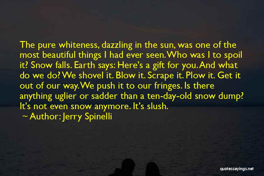Jerry Spinelli Quotes: The Pure Whiteness, Dazzling In The Sun, Was One Of The Most Beautiful Things I Had Ever Seen. Who Was