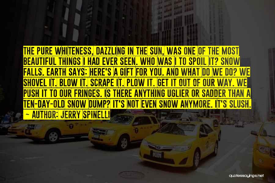 Jerry Spinelli Quotes: The Pure Whiteness, Dazzling In The Sun, Was One Of The Most Beautiful Things I Had Ever Seen. Who Was