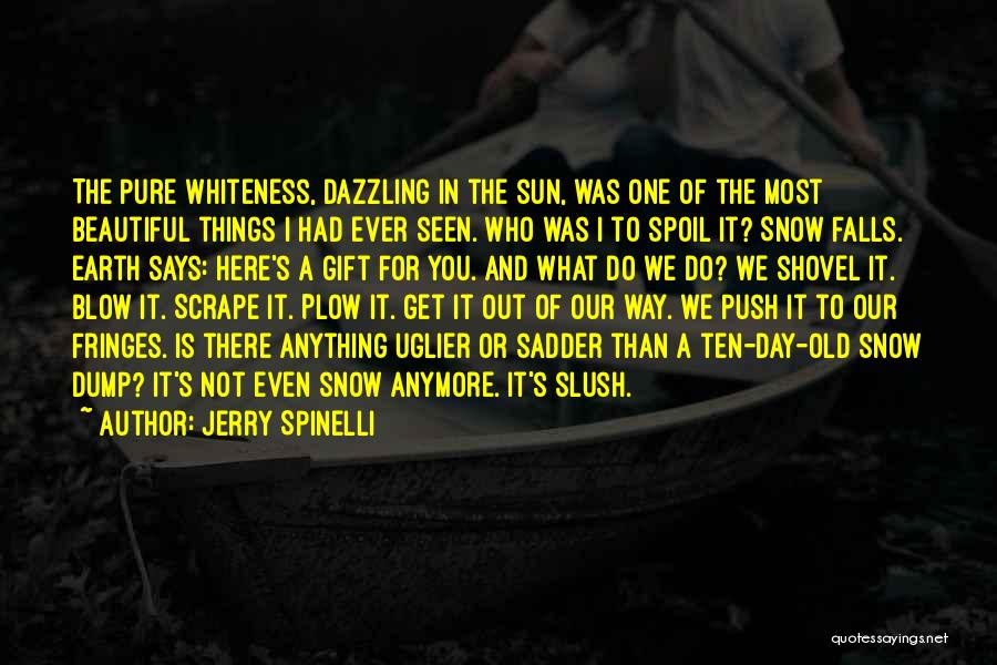 Jerry Spinelli Quotes: The Pure Whiteness, Dazzling In The Sun, Was One Of The Most Beautiful Things I Had Ever Seen. Who Was
