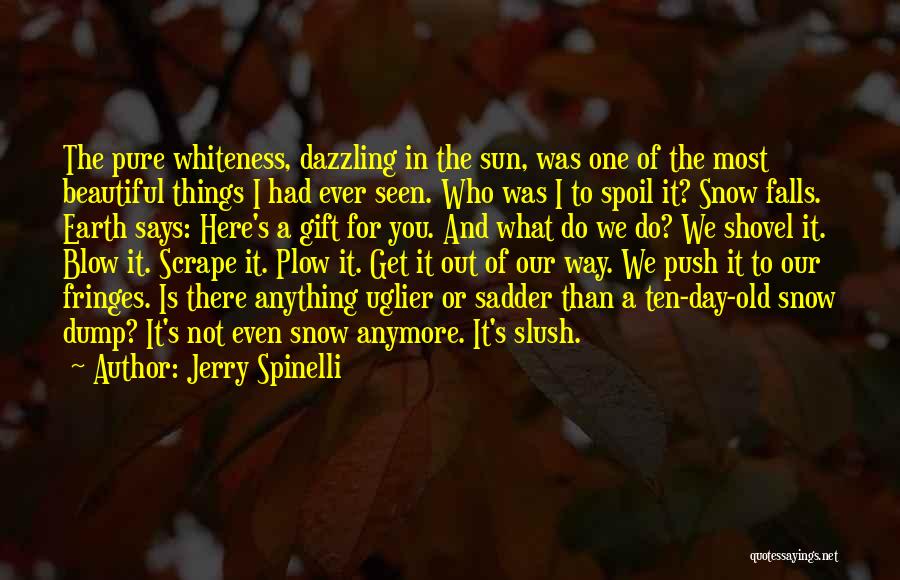 Jerry Spinelli Quotes: The Pure Whiteness, Dazzling In The Sun, Was One Of The Most Beautiful Things I Had Ever Seen. Who Was