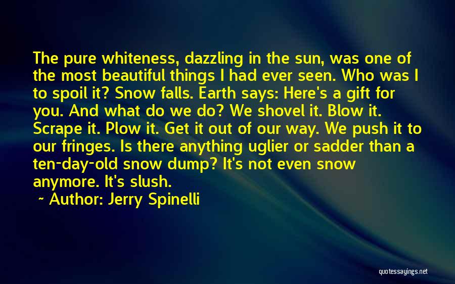 Jerry Spinelli Quotes: The Pure Whiteness, Dazzling In The Sun, Was One Of The Most Beautiful Things I Had Ever Seen. Who Was