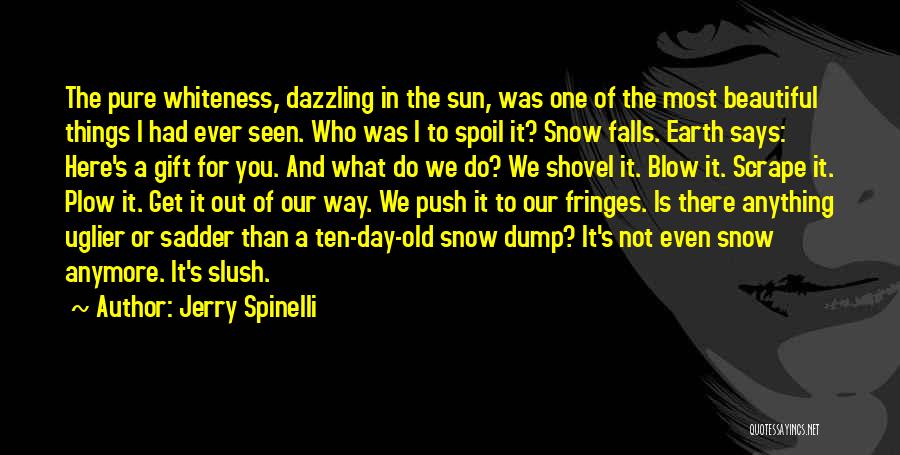 Jerry Spinelli Quotes: The Pure Whiteness, Dazzling In The Sun, Was One Of The Most Beautiful Things I Had Ever Seen. Who Was