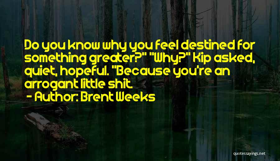 Brent Weeks Quotes: Do You Know Why You Feel Destined For Something Greater? Why? Kip Asked, Quiet, Hopeful. Because You're An Arrogant Little