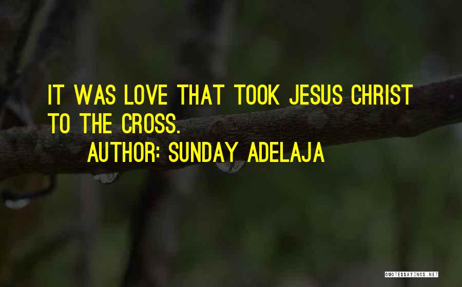 Sunday Adelaja Quotes: It Was Love That Took Jesus Christ To The Cross.