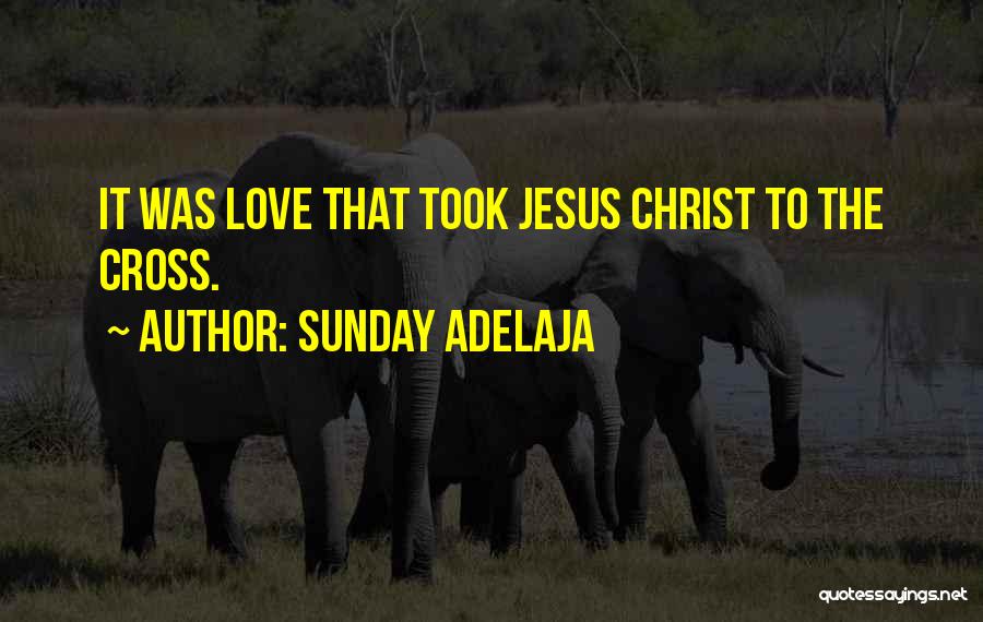 Sunday Adelaja Quotes: It Was Love That Took Jesus Christ To The Cross.