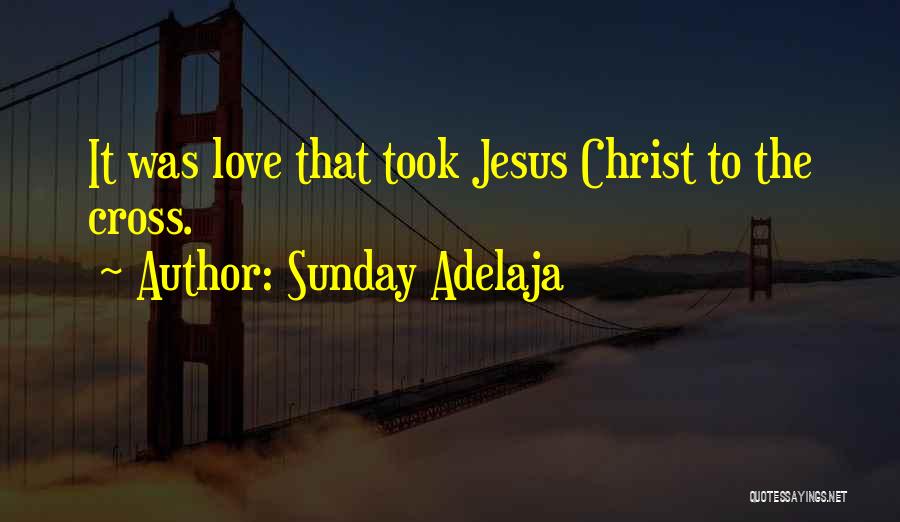 Sunday Adelaja Quotes: It Was Love That Took Jesus Christ To The Cross.