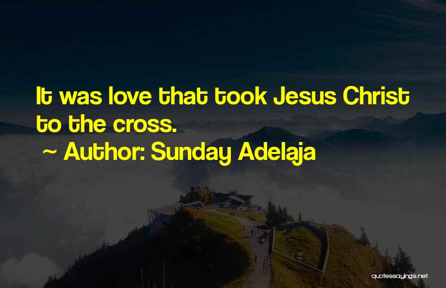 Sunday Adelaja Quotes: It Was Love That Took Jesus Christ To The Cross.