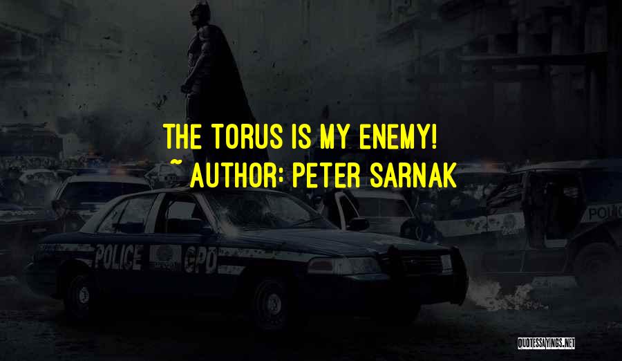 Peter Sarnak Quotes: The Torus Is My Enemy!