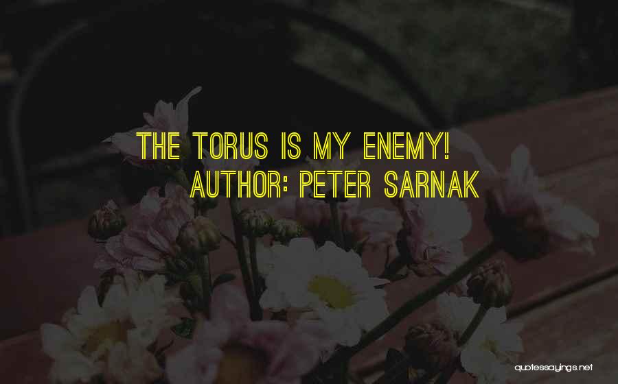 Peter Sarnak Quotes: The Torus Is My Enemy!
