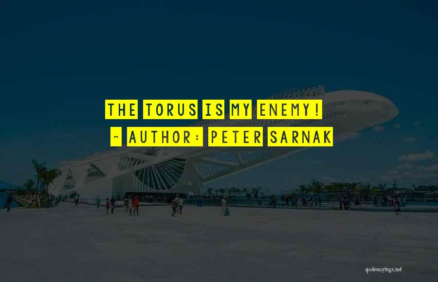 Peter Sarnak Quotes: The Torus Is My Enemy!
