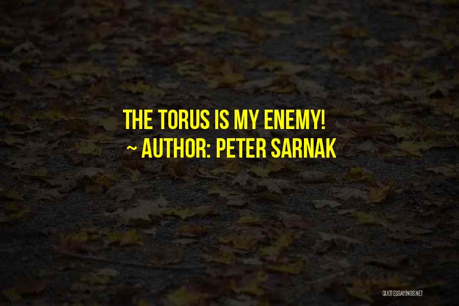 Peter Sarnak Quotes: The Torus Is My Enemy!