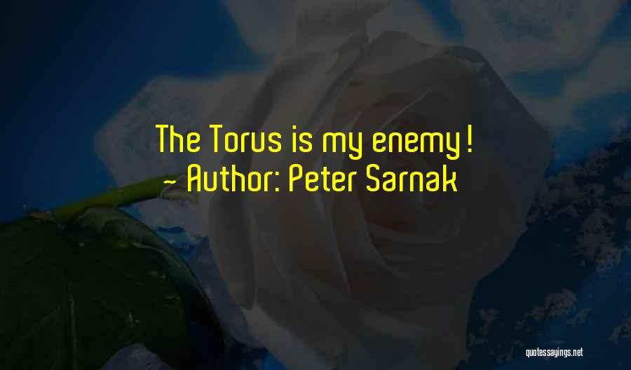 Peter Sarnak Quotes: The Torus Is My Enemy!