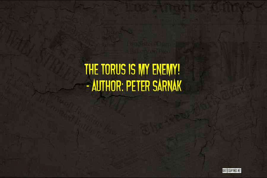 Peter Sarnak Quotes: The Torus Is My Enemy!