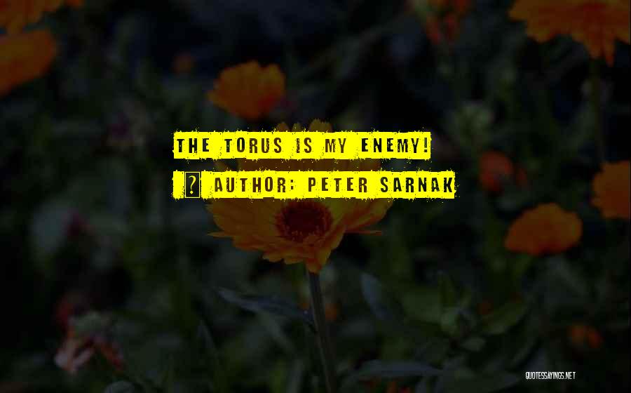 Peter Sarnak Quotes: The Torus Is My Enemy!