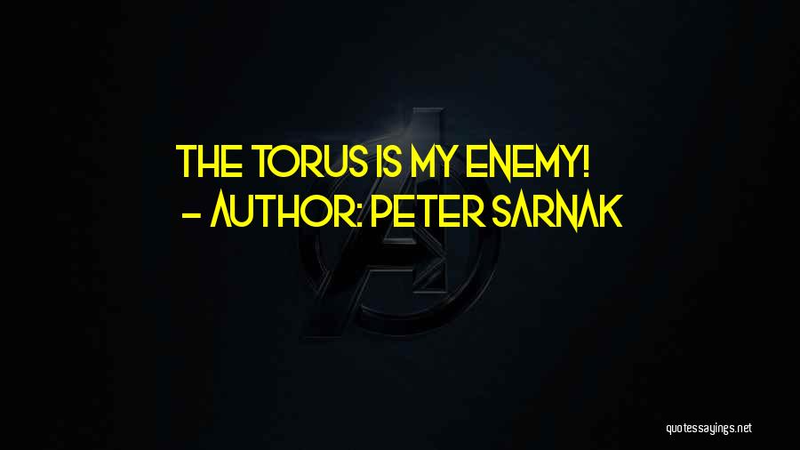 Peter Sarnak Quotes: The Torus Is My Enemy!