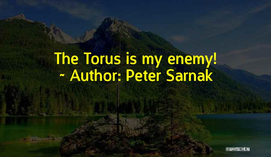 Peter Sarnak Quotes: The Torus Is My Enemy!