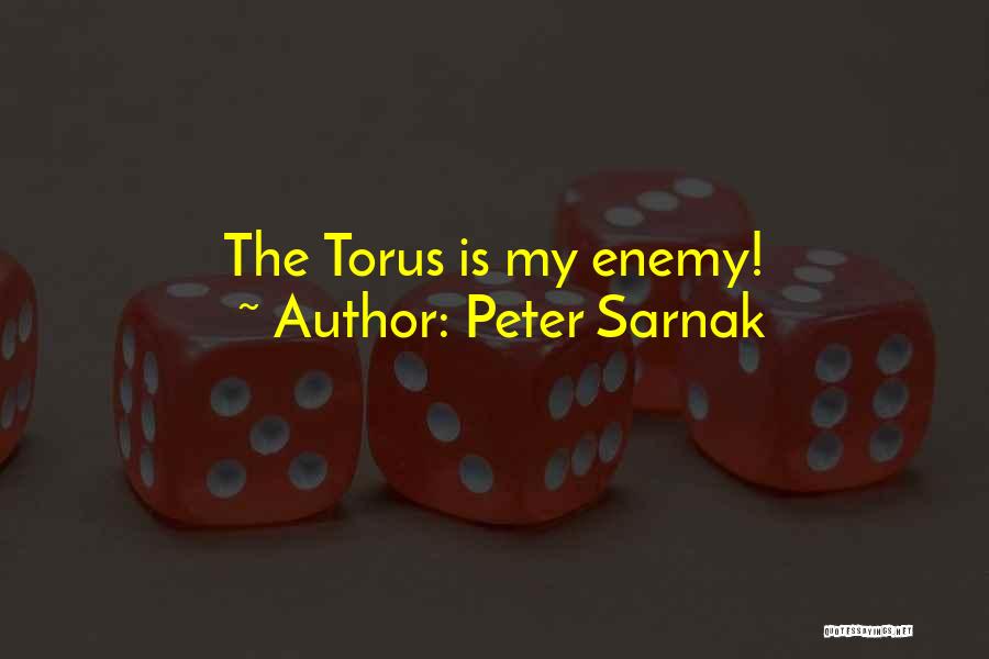 Peter Sarnak Quotes: The Torus Is My Enemy!