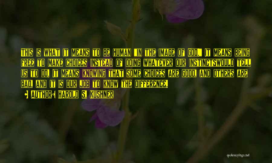 Harold S. Kushner Quotes: This Is What It Means To Be Human In The Image Of God. It Means Being Free To Make Choices