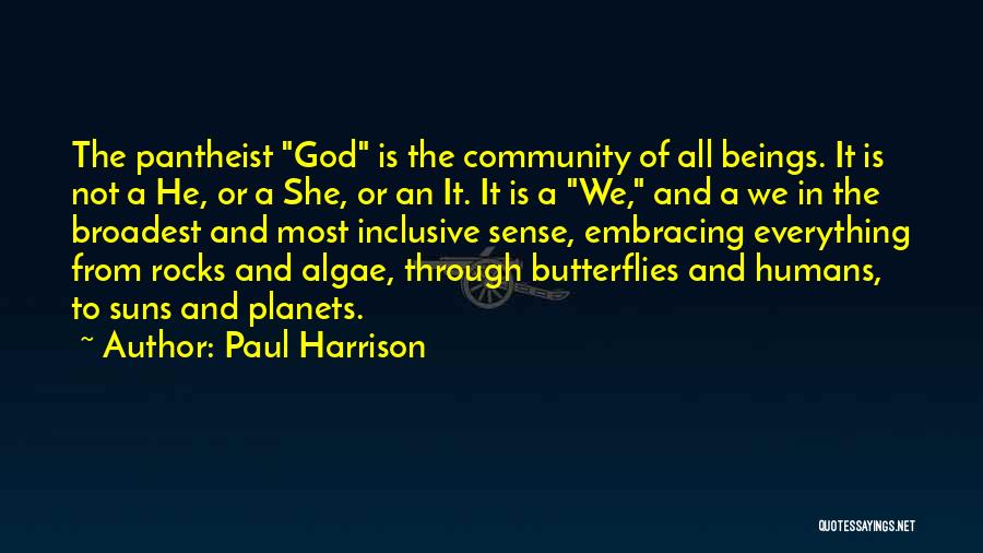 Paul Harrison Quotes: The Pantheist God Is The Community Of All Beings. It Is Not A He, Or A She, Or An It.