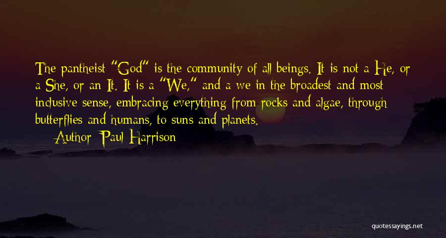 Paul Harrison Quotes: The Pantheist God Is The Community Of All Beings. It Is Not A He, Or A She, Or An It.