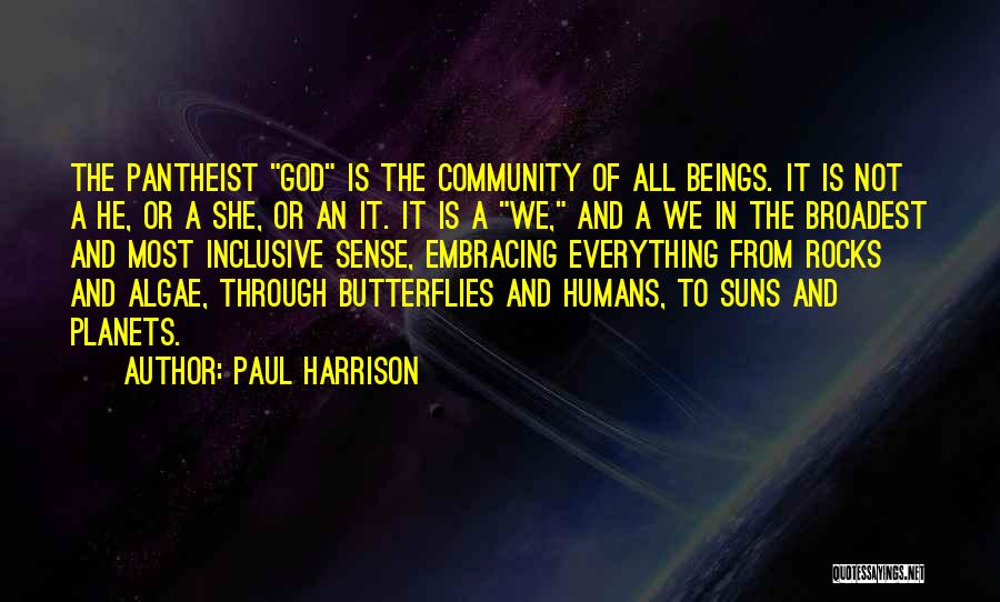 Paul Harrison Quotes: The Pantheist God Is The Community Of All Beings. It Is Not A He, Or A She, Or An It.