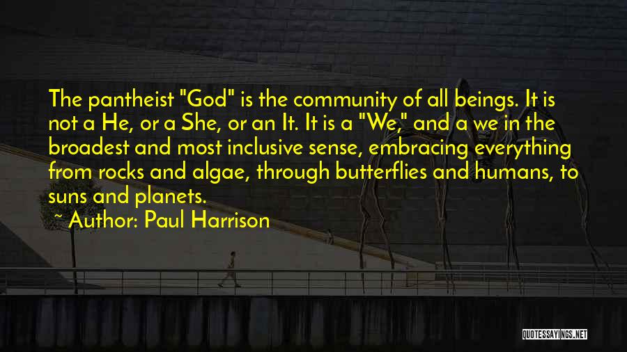 Paul Harrison Quotes: The Pantheist God Is The Community Of All Beings. It Is Not A He, Or A She, Or An It.