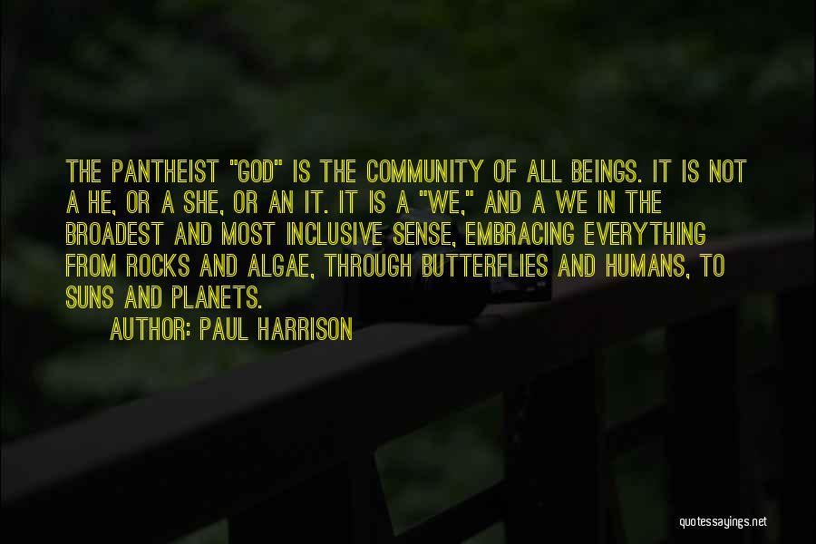 Paul Harrison Quotes: The Pantheist God Is The Community Of All Beings. It Is Not A He, Or A She, Or An It.
