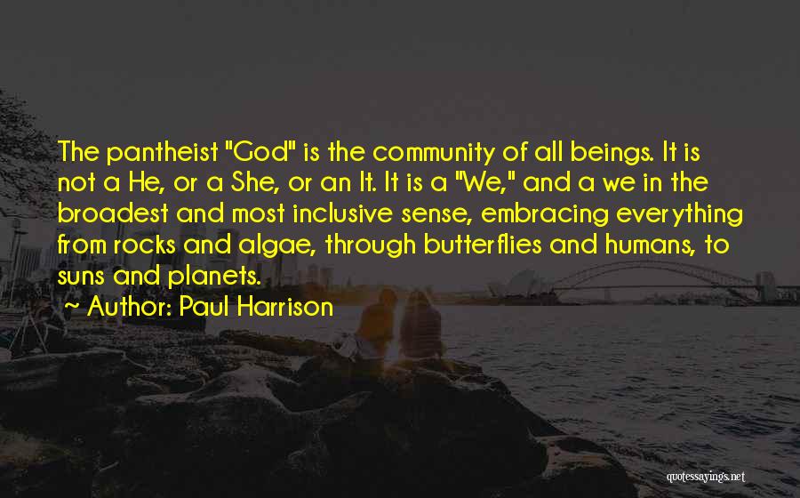 Paul Harrison Quotes: The Pantheist God Is The Community Of All Beings. It Is Not A He, Or A She, Or An It.