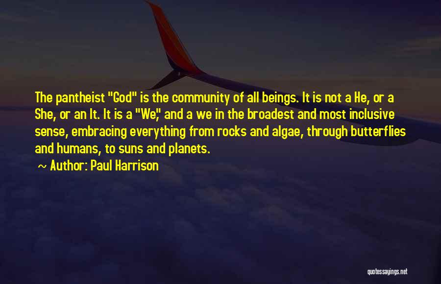 Paul Harrison Quotes: The Pantheist God Is The Community Of All Beings. It Is Not A He, Or A She, Or An It.