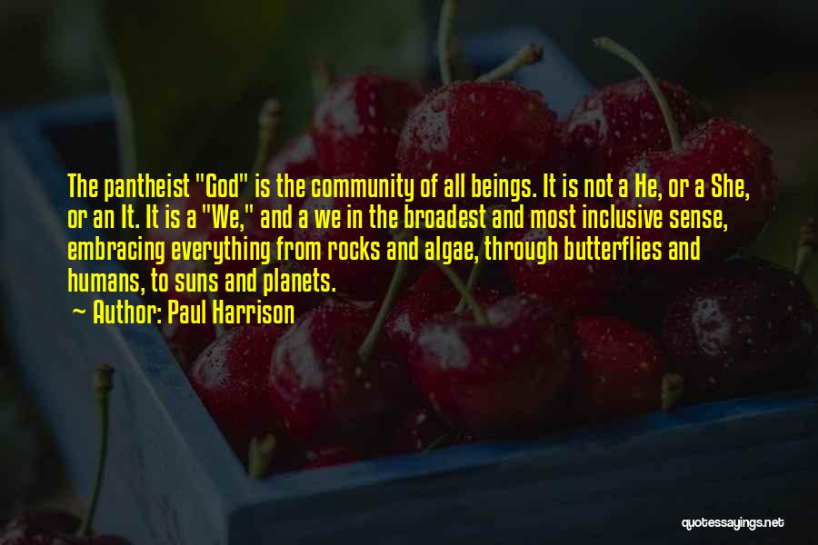 Paul Harrison Quotes: The Pantheist God Is The Community Of All Beings. It Is Not A He, Or A She, Or An It.