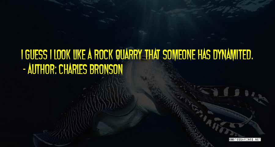 Charles Bronson Quotes: I Guess I Look Like A Rock Quarry That Someone Has Dynamited.