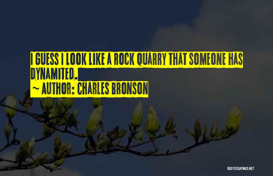 Charles Bronson Quotes: I Guess I Look Like A Rock Quarry That Someone Has Dynamited.