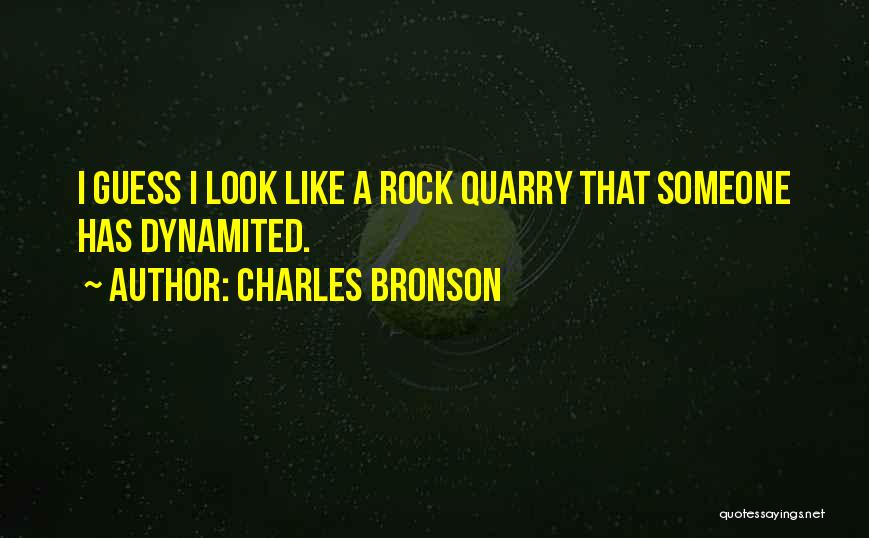 Charles Bronson Quotes: I Guess I Look Like A Rock Quarry That Someone Has Dynamited.