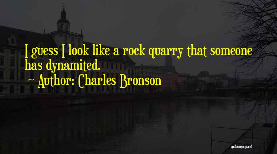 Charles Bronson Quotes: I Guess I Look Like A Rock Quarry That Someone Has Dynamited.