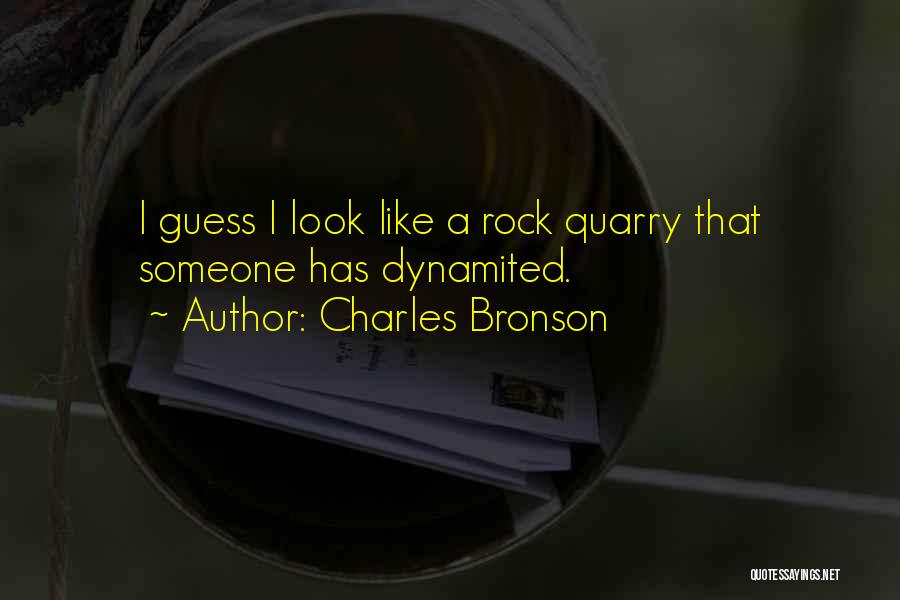 Charles Bronson Quotes: I Guess I Look Like A Rock Quarry That Someone Has Dynamited.