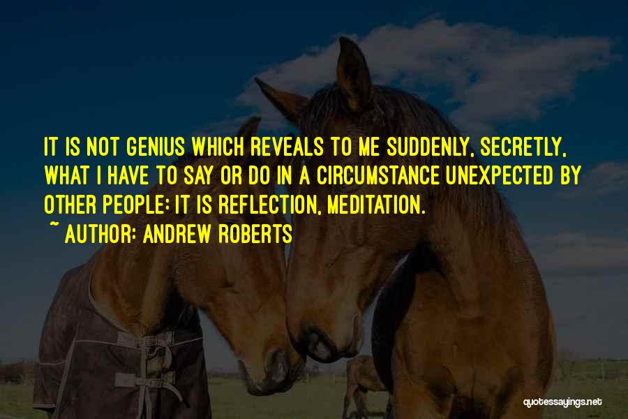 Andrew Roberts Quotes: It Is Not Genius Which Reveals To Me Suddenly, Secretly, What I Have To Say Or Do In A Circumstance