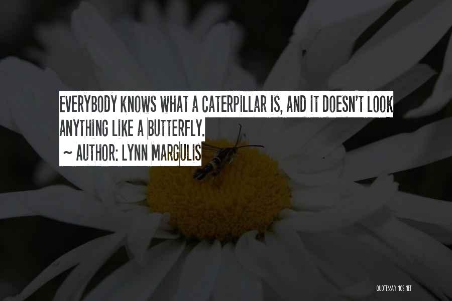 Lynn Margulis Quotes: Everybody Knows What A Caterpillar Is, And It Doesn't Look Anything Like A Butterfly.