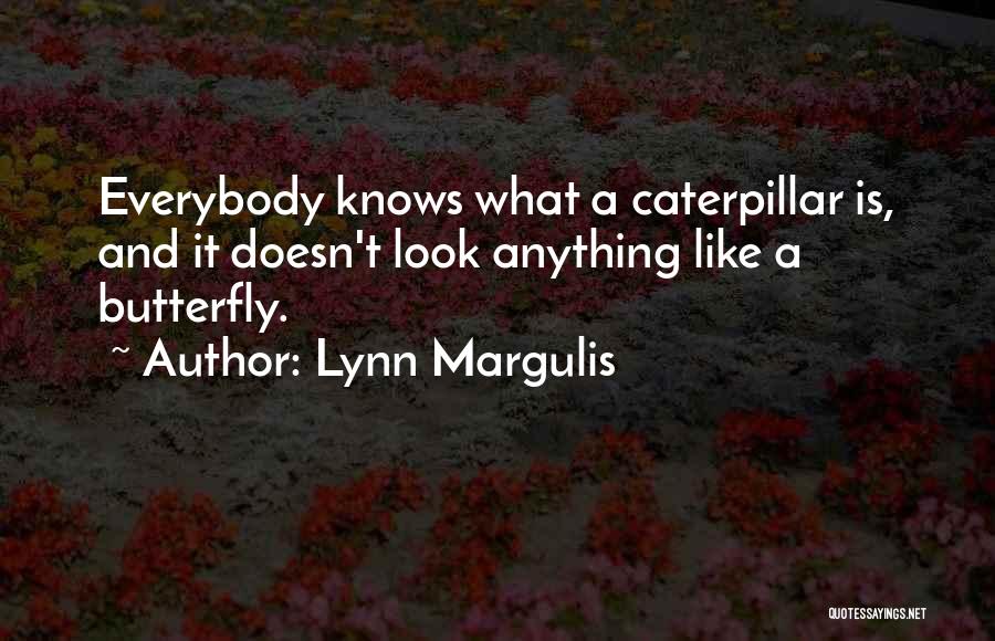 Lynn Margulis Quotes: Everybody Knows What A Caterpillar Is, And It Doesn't Look Anything Like A Butterfly.