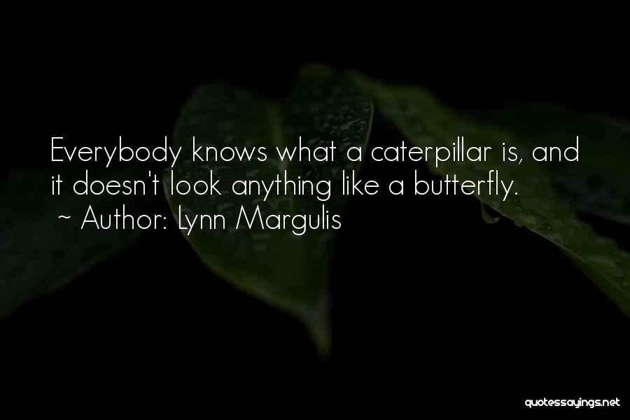 Lynn Margulis Quotes: Everybody Knows What A Caterpillar Is, And It Doesn't Look Anything Like A Butterfly.