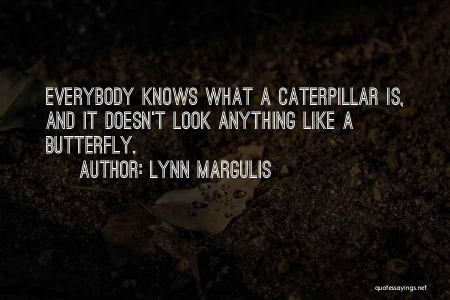 Lynn Margulis Quotes: Everybody Knows What A Caterpillar Is, And It Doesn't Look Anything Like A Butterfly.