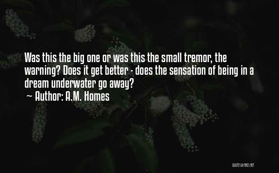 A.M. Homes Quotes: Was This The Big One Or Was This The Small Tremor, The Warning? Does It Get Better - Does The