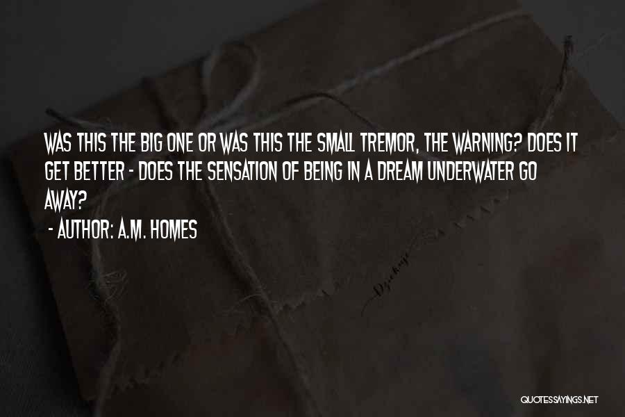 A.M. Homes Quotes: Was This The Big One Or Was This The Small Tremor, The Warning? Does It Get Better - Does The