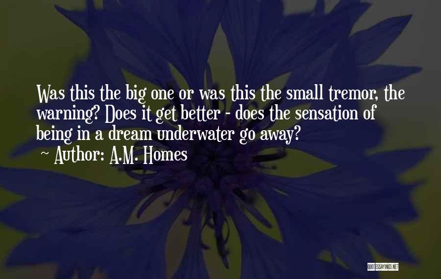 A.M. Homes Quotes: Was This The Big One Or Was This The Small Tremor, The Warning? Does It Get Better - Does The