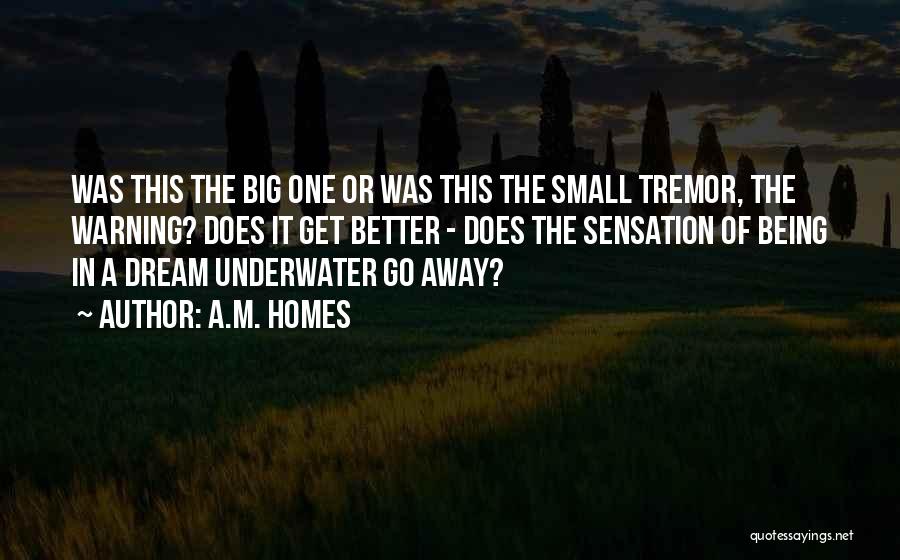 A.M. Homes Quotes: Was This The Big One Or Was This The Small Tremor, The Warning? Does It Get Better - Does The