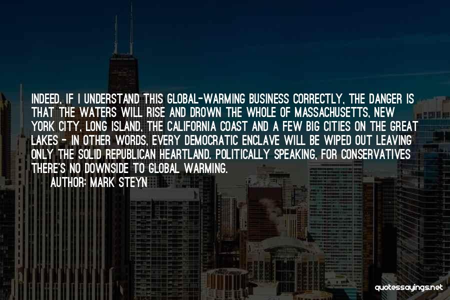 Mark Steyn Quotes: Indeed, If I Understand This Global-warming Business Correctly, The Danger Is That The Waters Will Rise And Drown The Whole