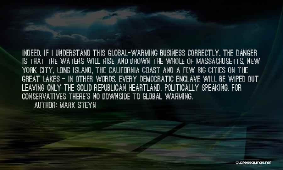 Mark Steyn Quotes: Indeed, If I Understand This Global-warming Business Correctly, The Danger Is That The Waters Will Rise And Drown The Whole