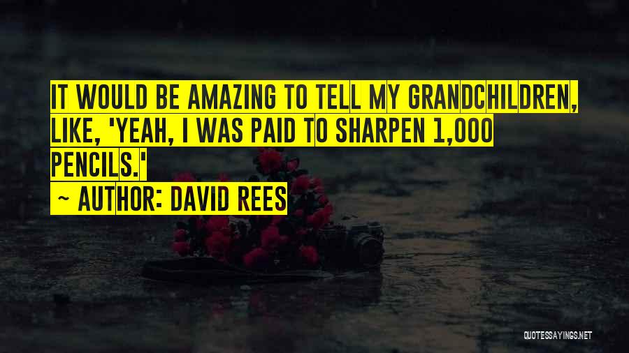 David Rees Quotes: It Would Be Amazing To Tell My Grandchildren, Like, 'yeah, I Was Paid To Sharpen 1,000 Pencils.'