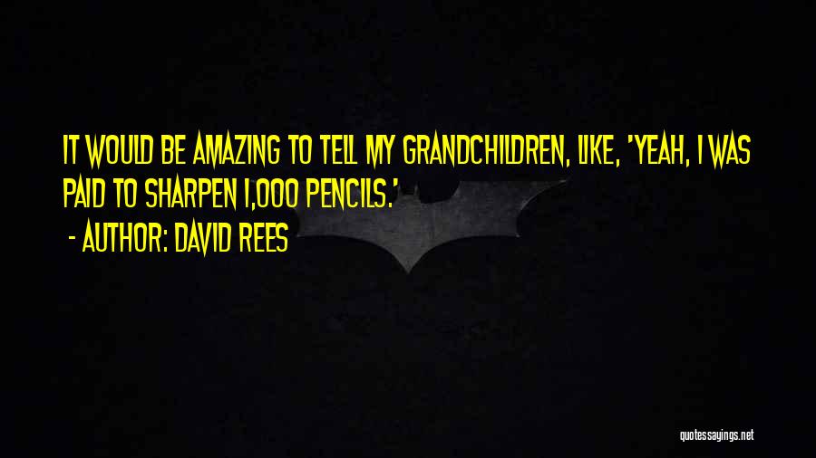 David Rees Quotes: It Would Be Amazing To Tell My Grandchildren, Like, 'yeah, I Was Paid To Sharpen 1,000 Pencils.'