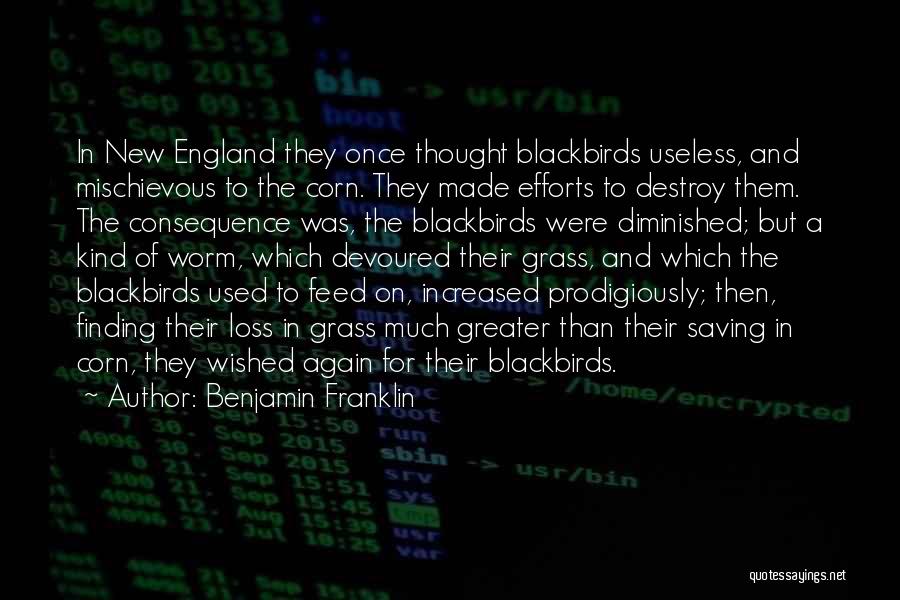 Benjamin Franklin Quotes: In New England They Once Thought Blackbirds Useless, And Mischievous To The Corn. They Made Efforts To Destroy Them. The