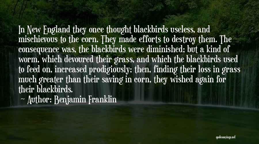 Benjamin Franklin Quotes: In New England They Once Thought Blackbirds Useless, And Mischievous To The Corn. They Made Efforts To Destroy Them. The